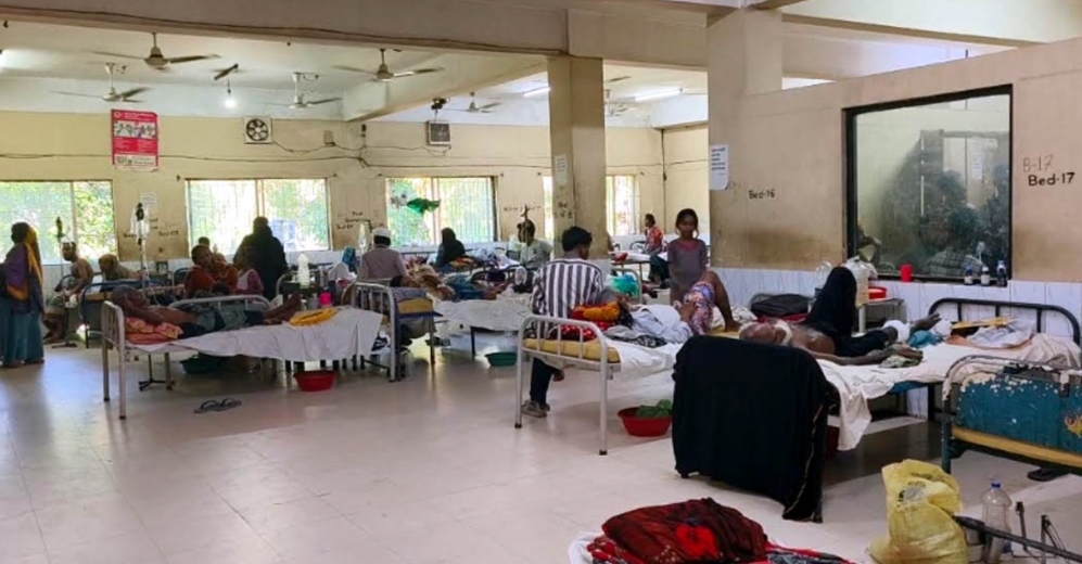 হবিগঞ্জে পাগলা কুকুরের কামড়ে আহত ৮০