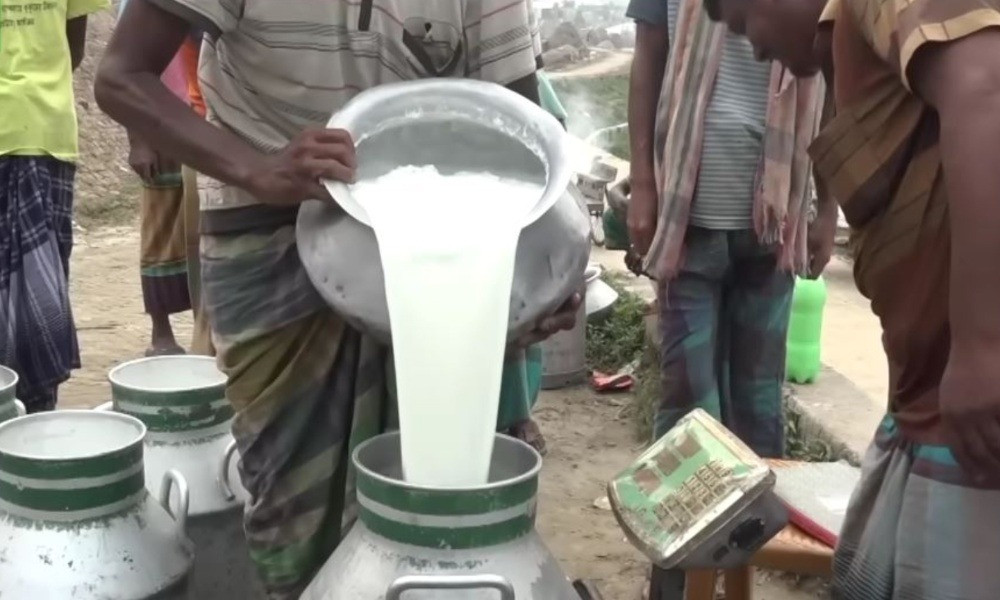 তেল সোডা ডিটারজেন্টে তৈরি হচ্ছে নকল দুধ!
