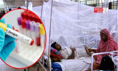ডেঙ্গুতে ১০ জনের মৃত্যু, হাসপাতালে ভর্তি ১৯৪৩