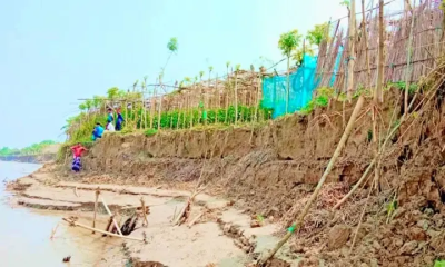 পদ্মার ভাঙনে দুই মাসে বিলীন ২০০ একর জমি