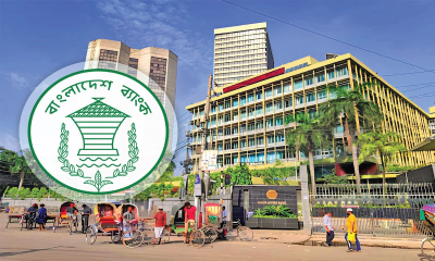 ২২ ব্যাংকের লোকসান  আড়াই লাখ কোটি টাকা