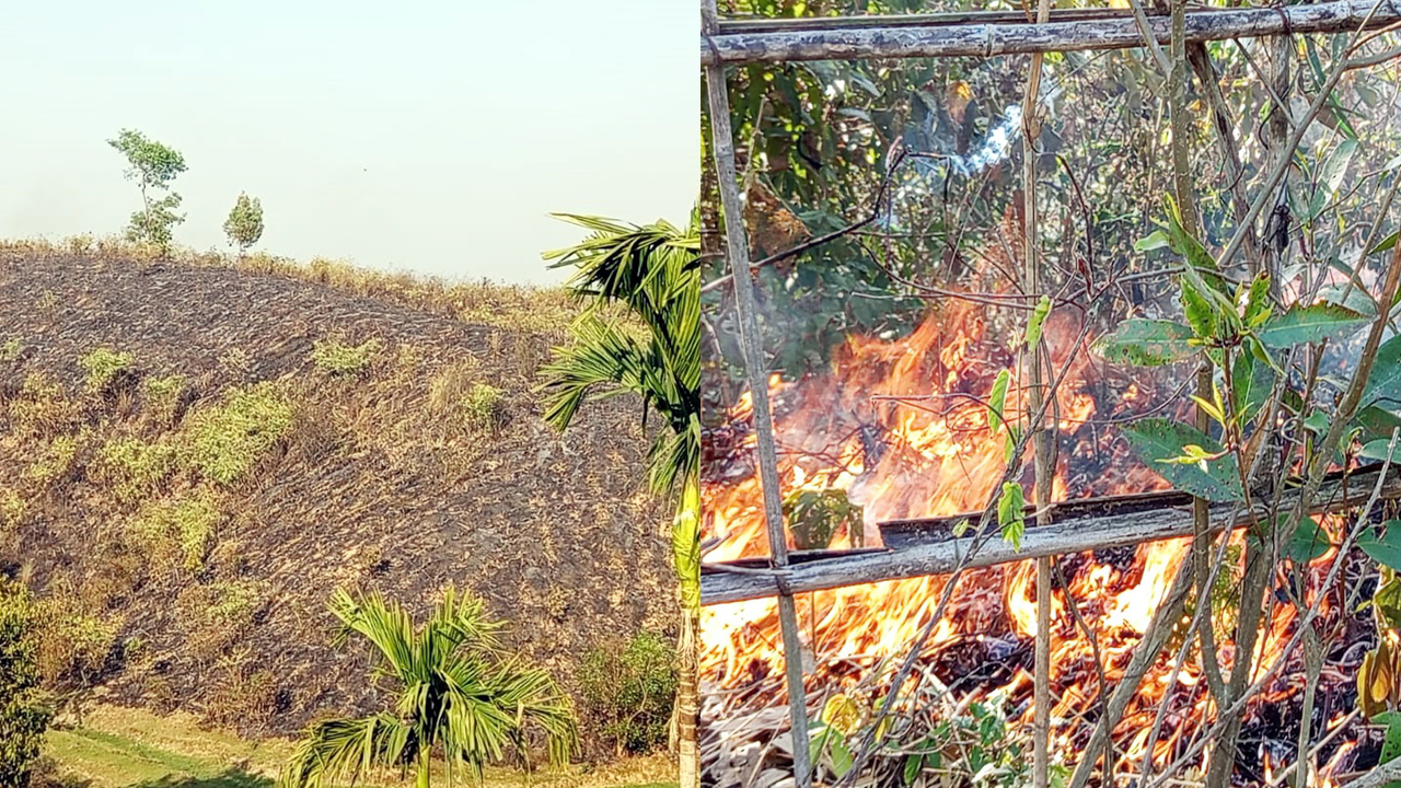 লাউয়াছড়া জাতীয় উদ্যানে আগুন, ৩ ঘণ্টার চেষ্টায় নিয়ন্ত্রণে